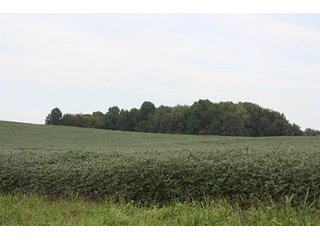 Property photo 7 - REAL ESATE AUCTION-128.4+/- ACRES OFFERED IN 6 TRACTS IN SPENCER COUNTY